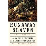 Runaway Slaves: Rebels on the Plantation