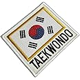 BR44 AM0257T01 - Taekwondo South Korea Flag Embroidered Patch to Uniform, Kimono, Iron or Sew