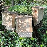 Selections Large Wooden Bat Box Roosting Nesting Single Chamber Grooved Interior view 7