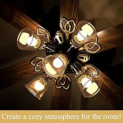 Retisee 9 Pcs Ceiling Fan Light Covers, Clear