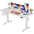 ErGear Height Adjustable Electric Standing Desk, 71 x 30 Inches Sit Stand up Desk, Memory Computer Home Office Desk Large Desk with Two-Piece Desktop (White)