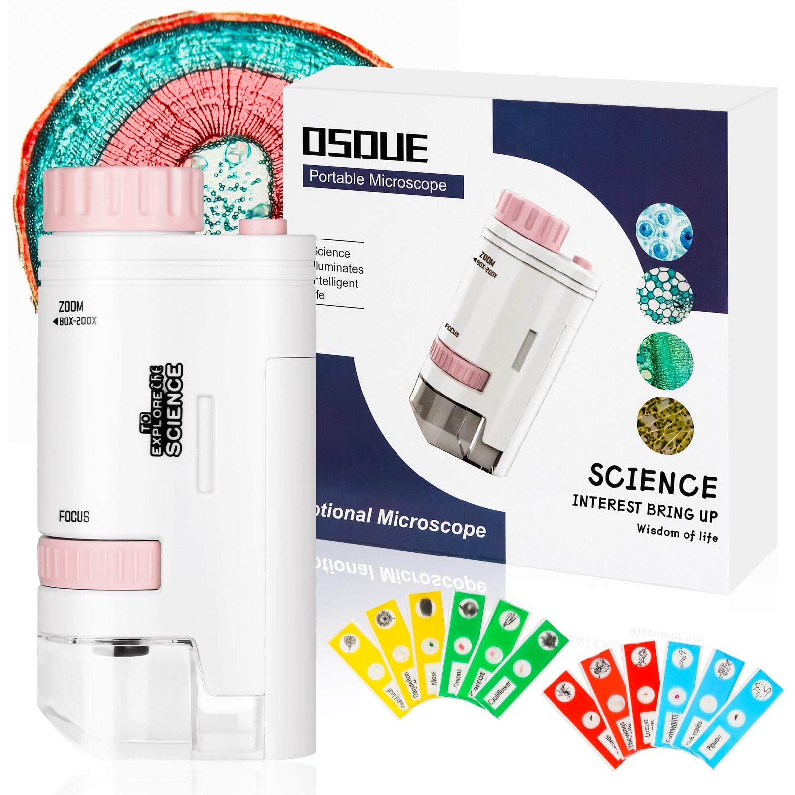 OSDUE Pocket Mini Small Microscope, Handheld Microscopes 80X-200X with LED, Portable Mini Microscope with 12pcs Microscopes Slides for Microbiological Observation Learning