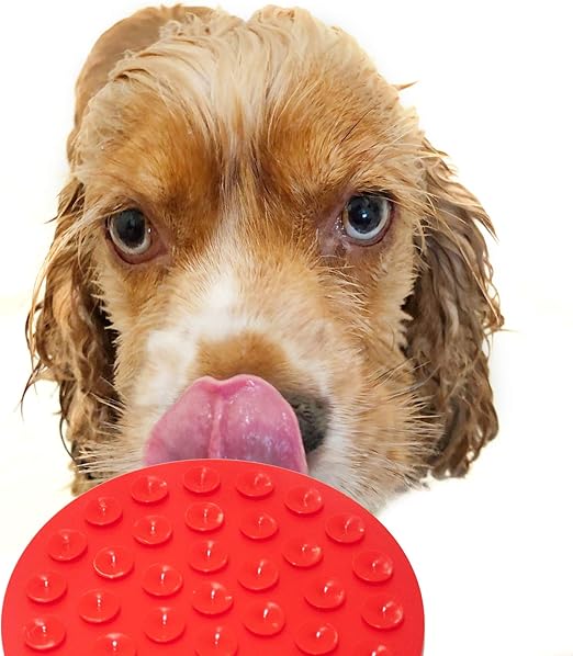 dog licking peanut butter