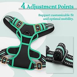 rabbitgoo Dog Harness, No-Pull Pet Harness with 2