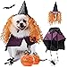 Legendog Halloween Pet Costumes