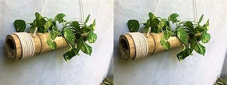 COIR GARDEN - Bamboo Hanging Planters with Adjustable Rope - Bamboo Stand - Bamboo Pot