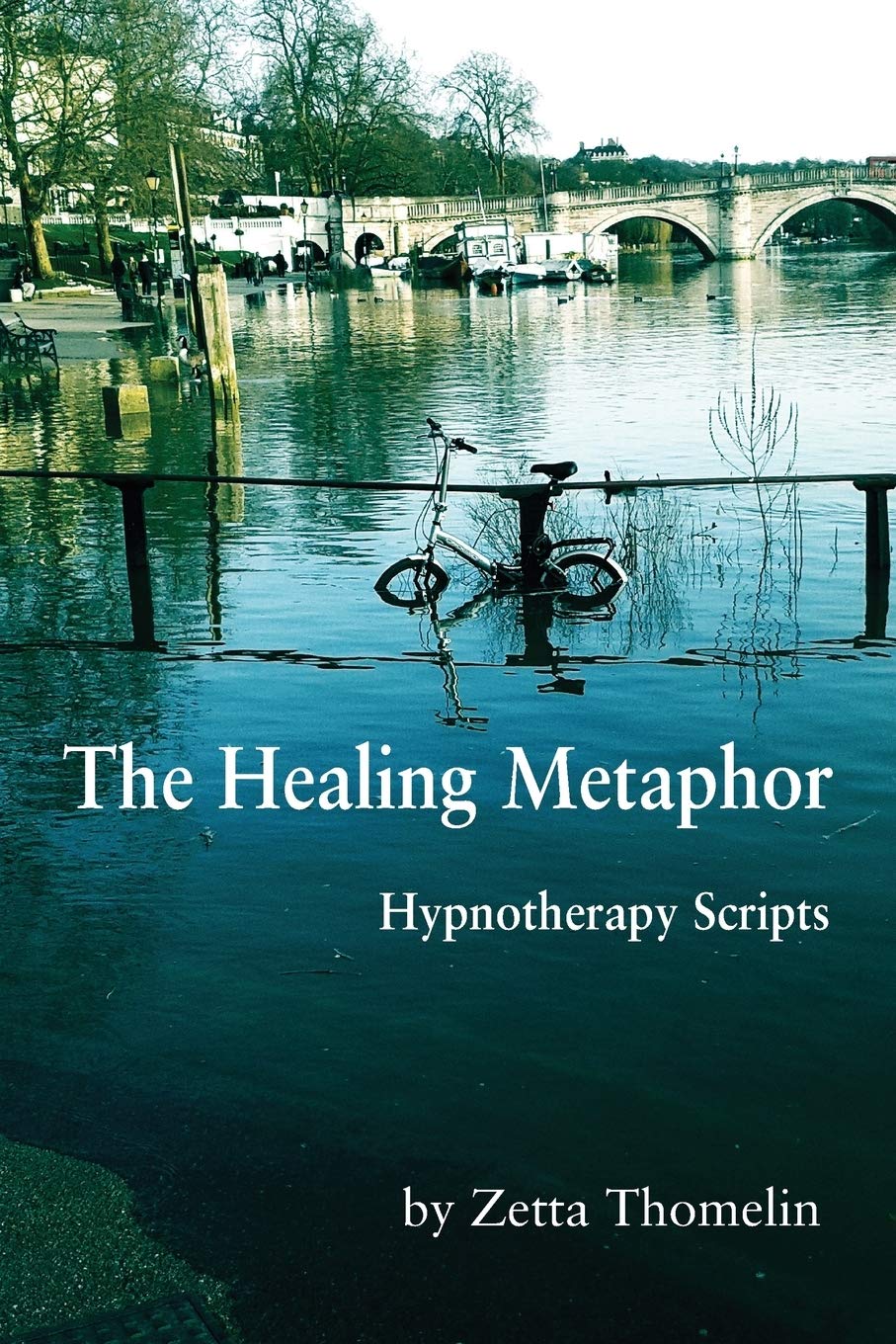 The Healing Metaphor: Hypnotherapy Scripts The Healing Metaphor: Hypnotherapy Scripts Paperback Kindle