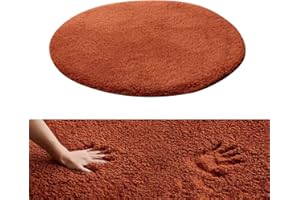 Kekon Ultra Soft Indoor Modern Round Area Rugs Fluffy Non-Slip Floor Carpets Silky Mat for Living Room Bedroom Kids and Baby Room Nursery and Pet, 1ft, Coffee