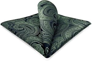 S&W SHLAX&WING Mens Pocket Square Paisley Multicolor Large for Business Wedding