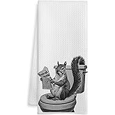 WOTYPU Funny Squirrel Gifts Hand Towels for Bathroom, Squirrel Bathroom Decor, Squirrels Lovers Gifts, Squirrels Decor Hand Towels for Guest Bath Room Washroom Power Room Vanity Half Bath, 16X24 Inch
