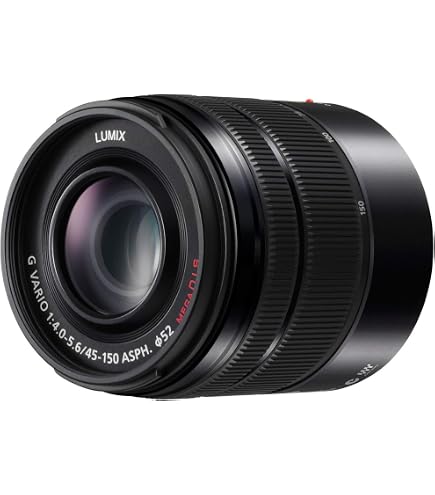 Amazon.com : Panasonic Telephoto Zoom Lens for Micro Four Thirds