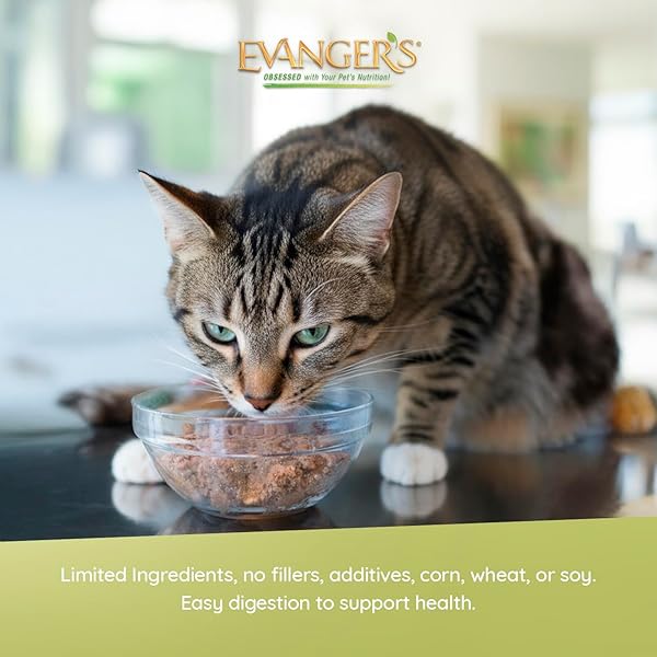 EVANGER’S HERITAGE CLASSICS GOIN’ FISHIN’ DINNER FOR CATS – 12 COUNT, 12.5 OZ EACH – OCEAN FISH & MEAT BLEND, GRAIN FREE, LIMITED INGREDIENTS, TRADITIONAL LOAF STYLE