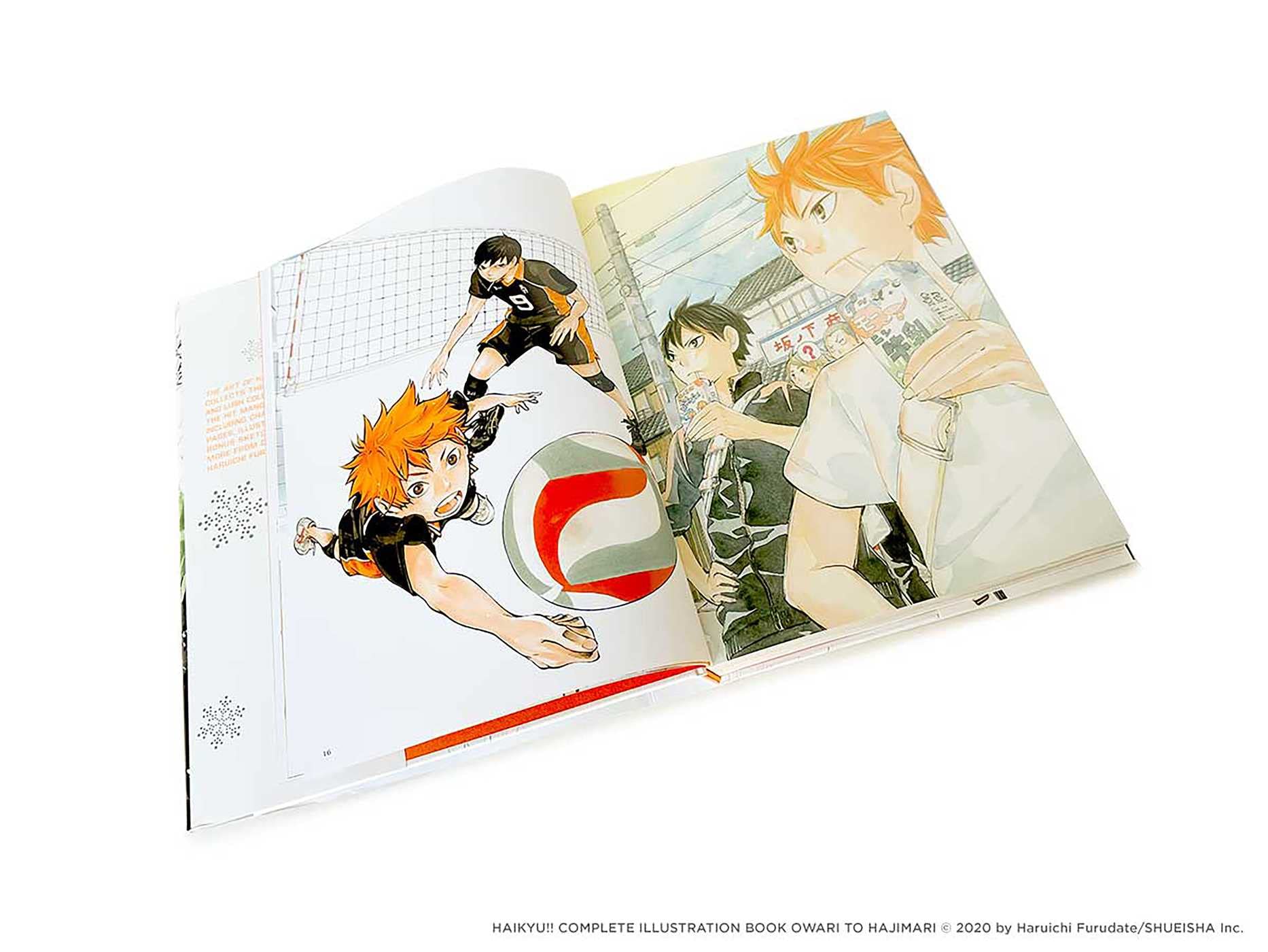 The Art of Haikyu!!: Endings and Beginnings The Art of Haikyu!!: Endings and Beginnings Hardcover