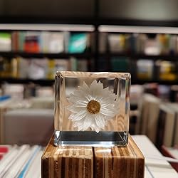 Bon Cube Real Flower Desk Accessory Mini Resin Cube