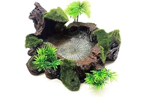 OMEM Resin Reptile Feeding Bowl Food Water Dish Habitat Decor Terrarium Humidify Basin Water Bowl