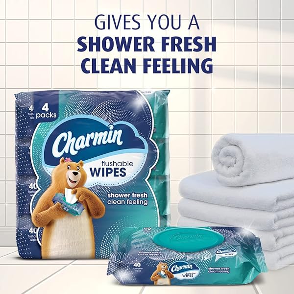 CHARMIN FLUSHABLE WIPES, 2 PACKS, 40 WIPES PER PACK, 80 TOTAL WIPES
