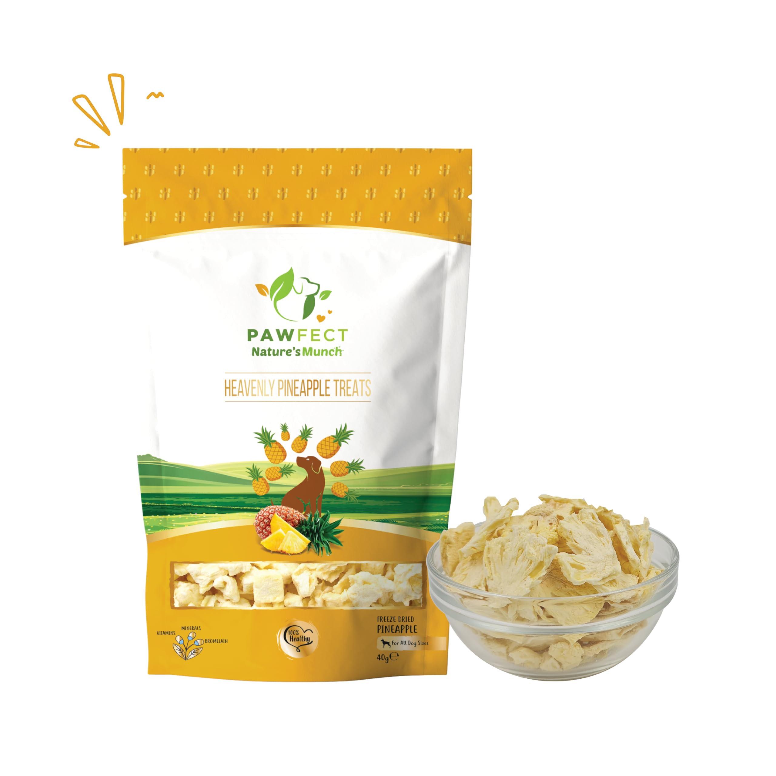 Single Ingredient Vegan Treats: Pineapple (40g/1.41oz)