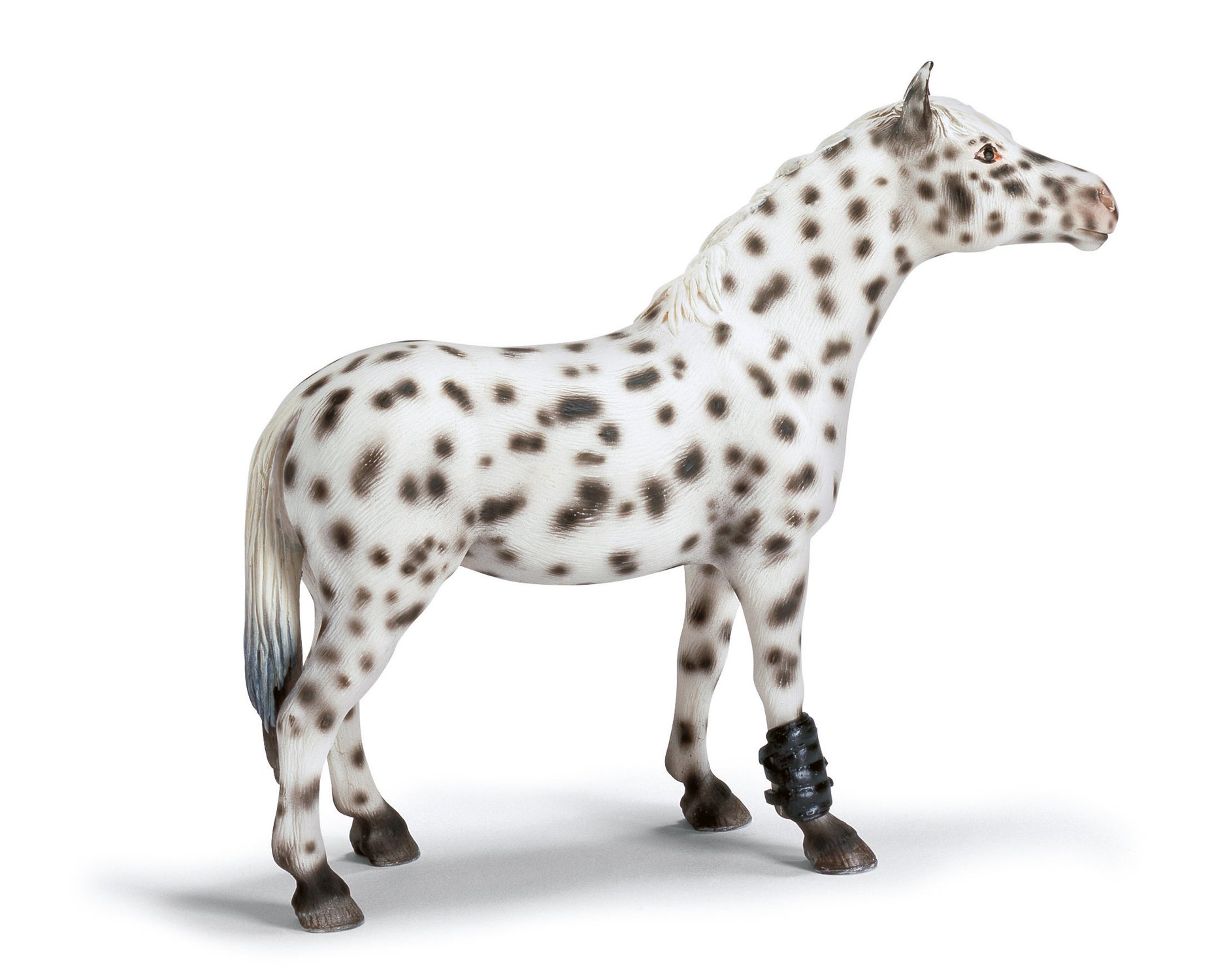 schleich knabstrupper stallion