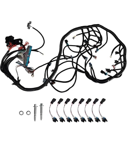 Faisceau De Câblage Autonome T56 DBW Pour Moteurs LS1 4.8/5.3 (2003-2007)