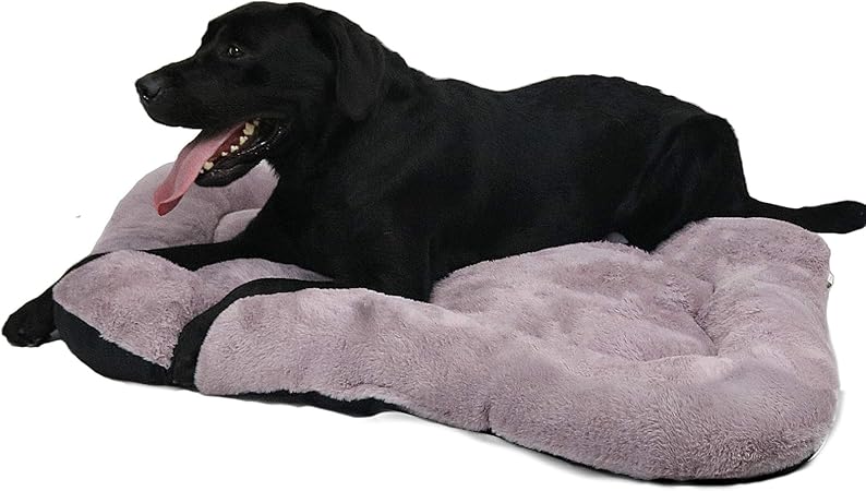 purple dog mattress