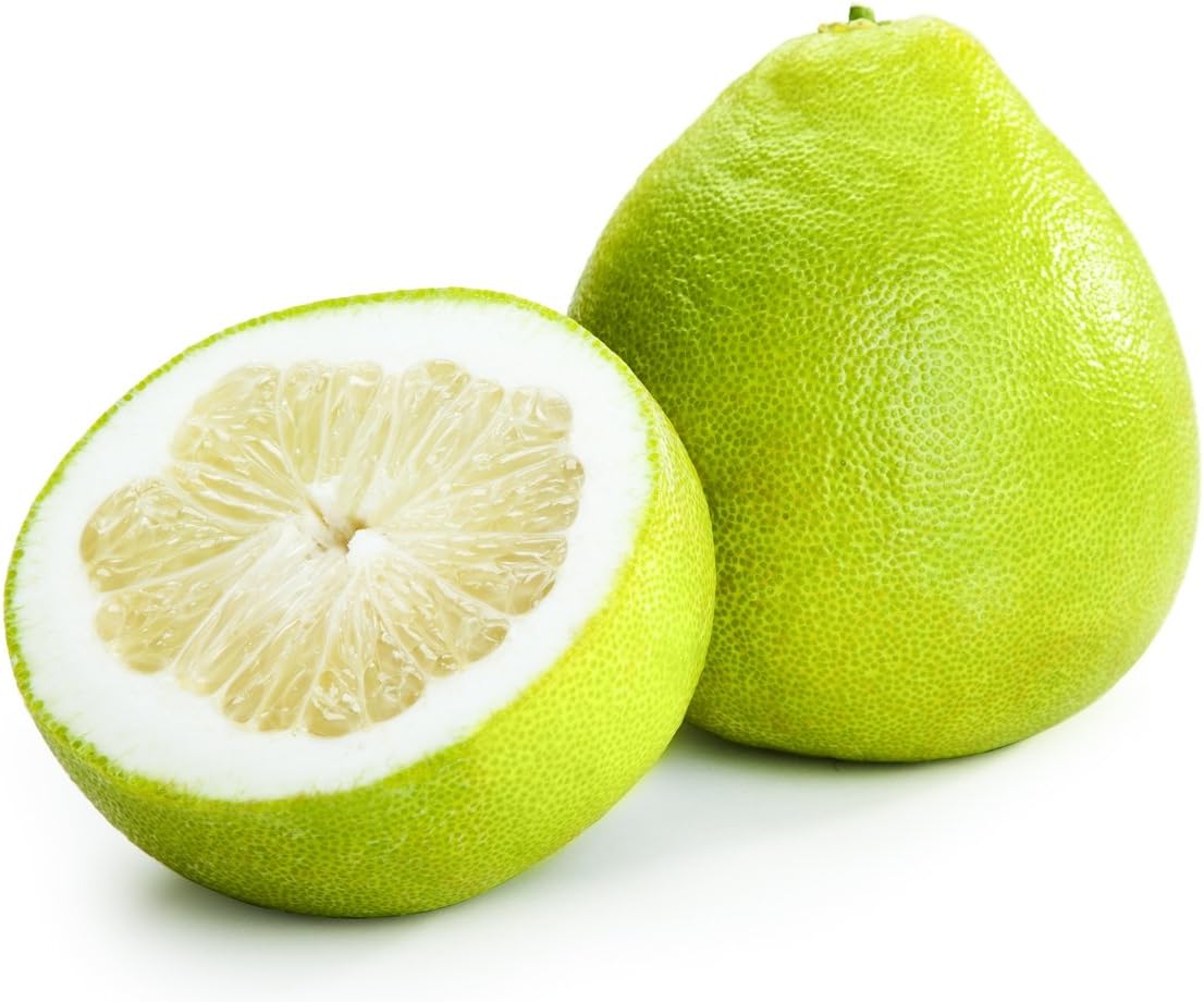 Honey Pomelo Citrus Maxima Grandis Pamplemousse Jabong Shaddock Seeds
