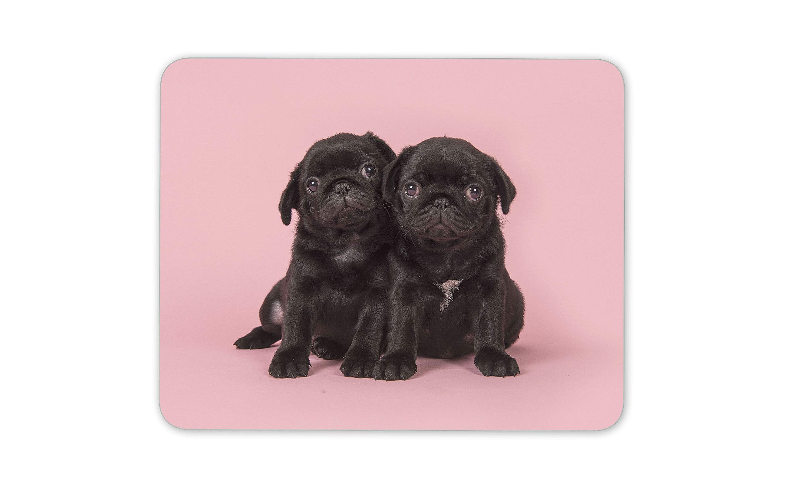Cute Pug Puppies Mouse Mat Pad - Dog Puppy Pet Pink Girls Computer #15257…