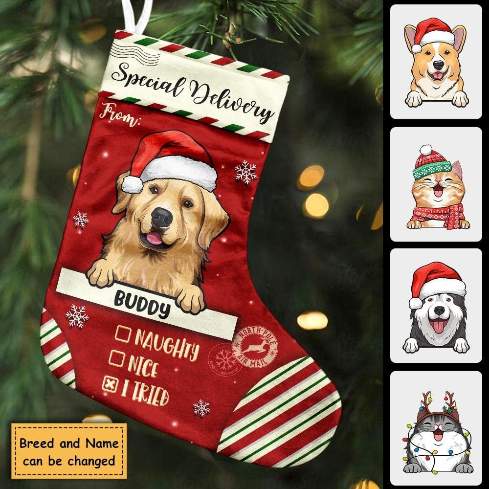 Stockings & Holders - Pawfect House Special Delivery to Santa - Christmas Dogs & Cats - Personalized Christmas Stocking, Christmas Stockings for Dogs, Hanging Xmas Stockings Decorations, Dog Christmas Stocking