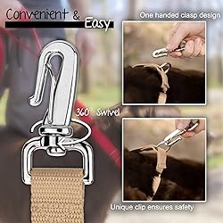 Country Brook Petz - Deluxe Nylon Dog Leash with