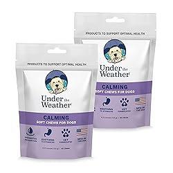 Under the Weather Pet Soft Dog Chew Supplements for