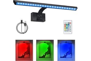 BIGMONAT 16inch Wireless LED Picture Light with Remote, USB Rechargeable Battery Operated Painting Light, Color Changing Art Display for Wall with Timer,Dimmable Art Light for Paintings,Frame,Portrait