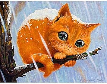 Mashichen Peinture Par Numero Diy Chunxia Beau Chat Peinture Acrylique Moderne Image Home Decor Pour Salon 40x50cm Avec Cadre Amazon Fr Jeux Et Jouets