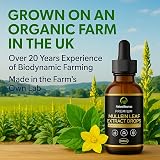 Natural Sources Mullein Leaf Extract 100ml UK Grown Tincture view 2