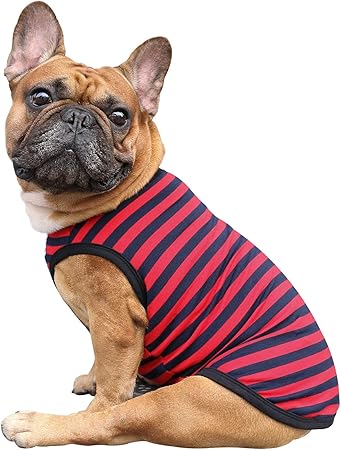 frenchie clothes for dogs