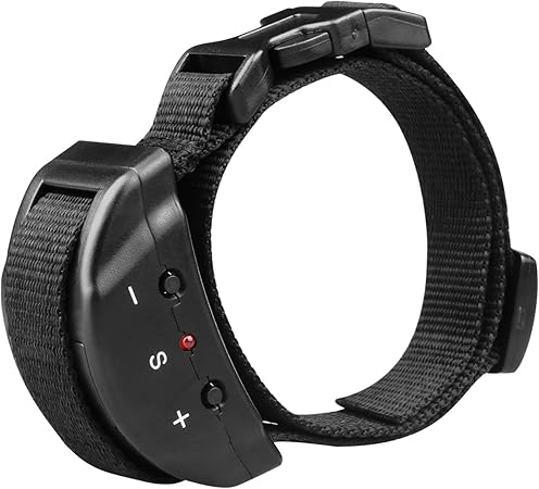 traveling with cats in car long distance