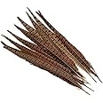 Lampu 10 Pcs 13-15 inch Natural Pheasant Feathers Pheasant Tails