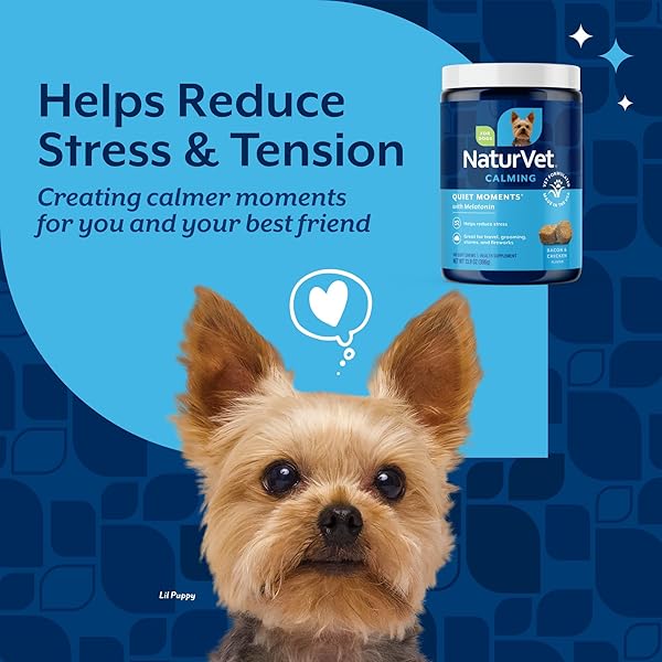 NATURVET QUIET MOMENTS CALMING DOG SUPPLEMENT, DOG SOFT CHEWS WITH MELATONIN TO HELP REDUCE STRESS FROM STORMS, THE VET, FIREWORKS, AND TRAVEL, BACON AND CHICKEN FLAVORED PET SUPPLEMENT, 180 COUNT JAR