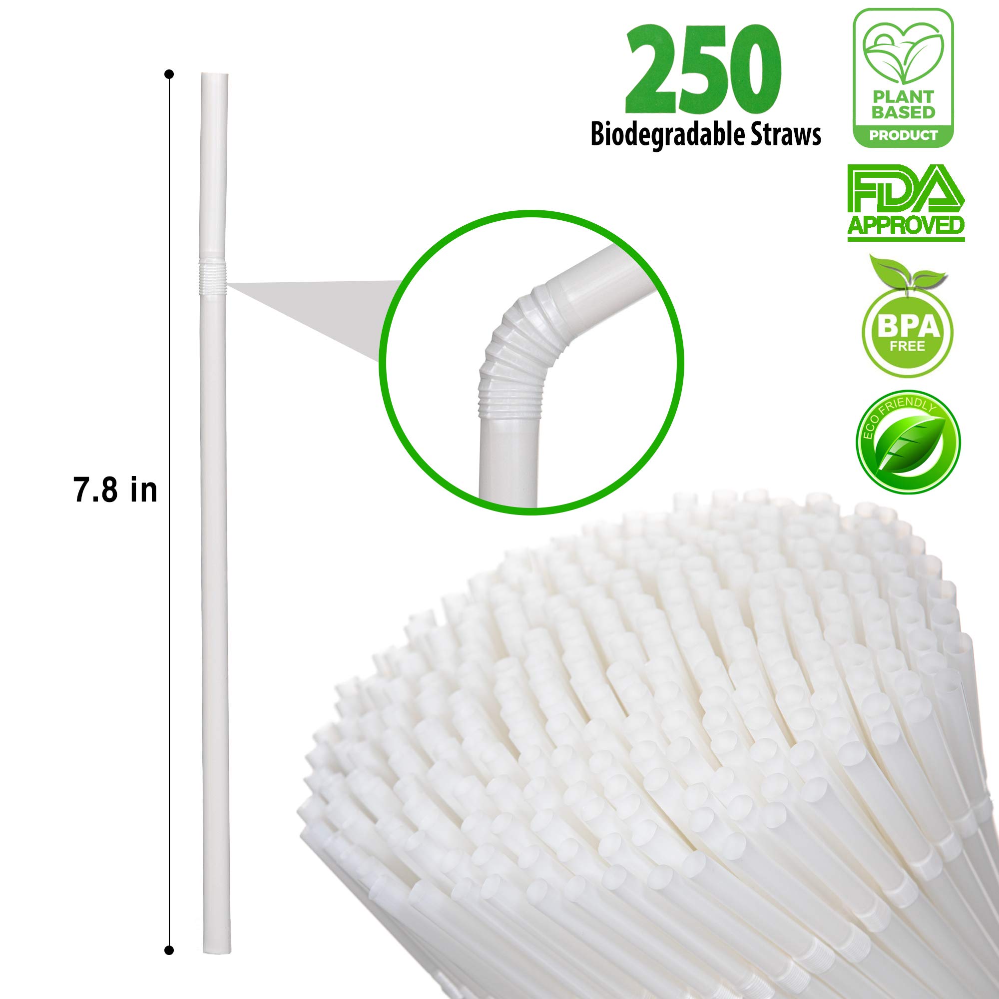 Plant Based Drinking Straws by StrawPanda- (250 Pack) an Eco Friendly Alternative to Plastic Straws, BPA Free - Image 2