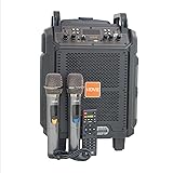 VIDVIE SP916 Trolley Portable Speaker 3-in-1 Design