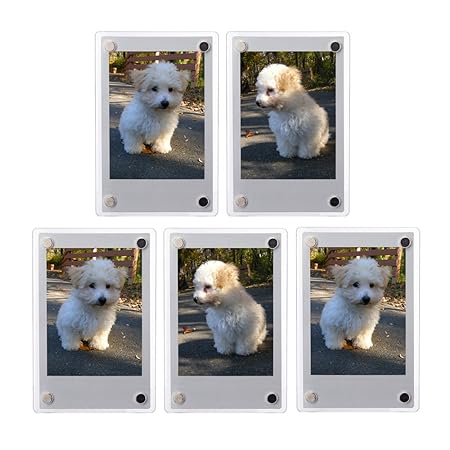 forapid 5 pcs (pantalla sin Marco magnético de acrílico claro de ...