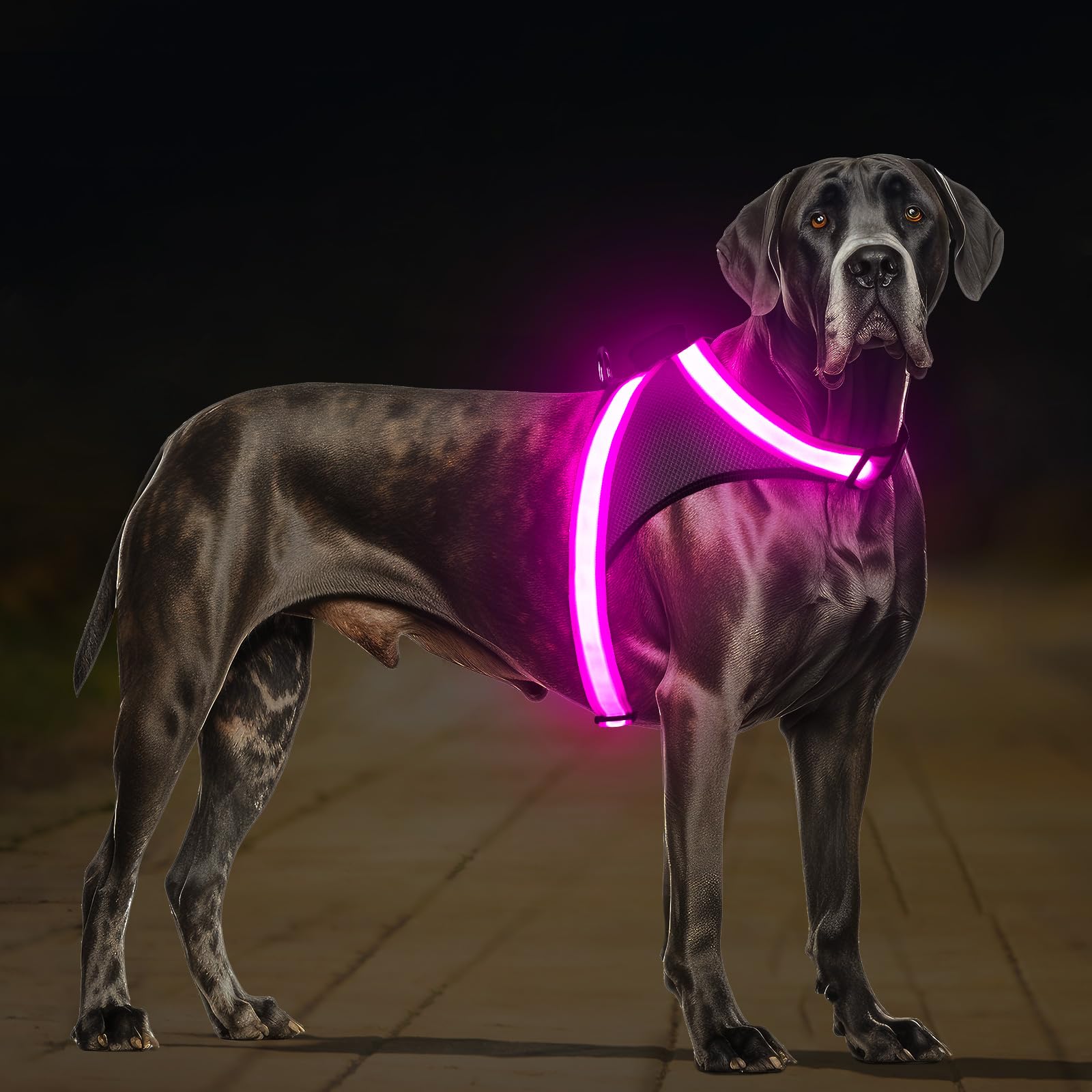 Photo 1 of ChalkLit Light Up Dog Harness, No Pull Led Dog Harness Glow-in-The-Dark for Night Walking, USB Rechargeable Lighted Safety Vest for Medium Large Dogs, Adjustable Soft Mesh Fully Illuminated(Pink, L)