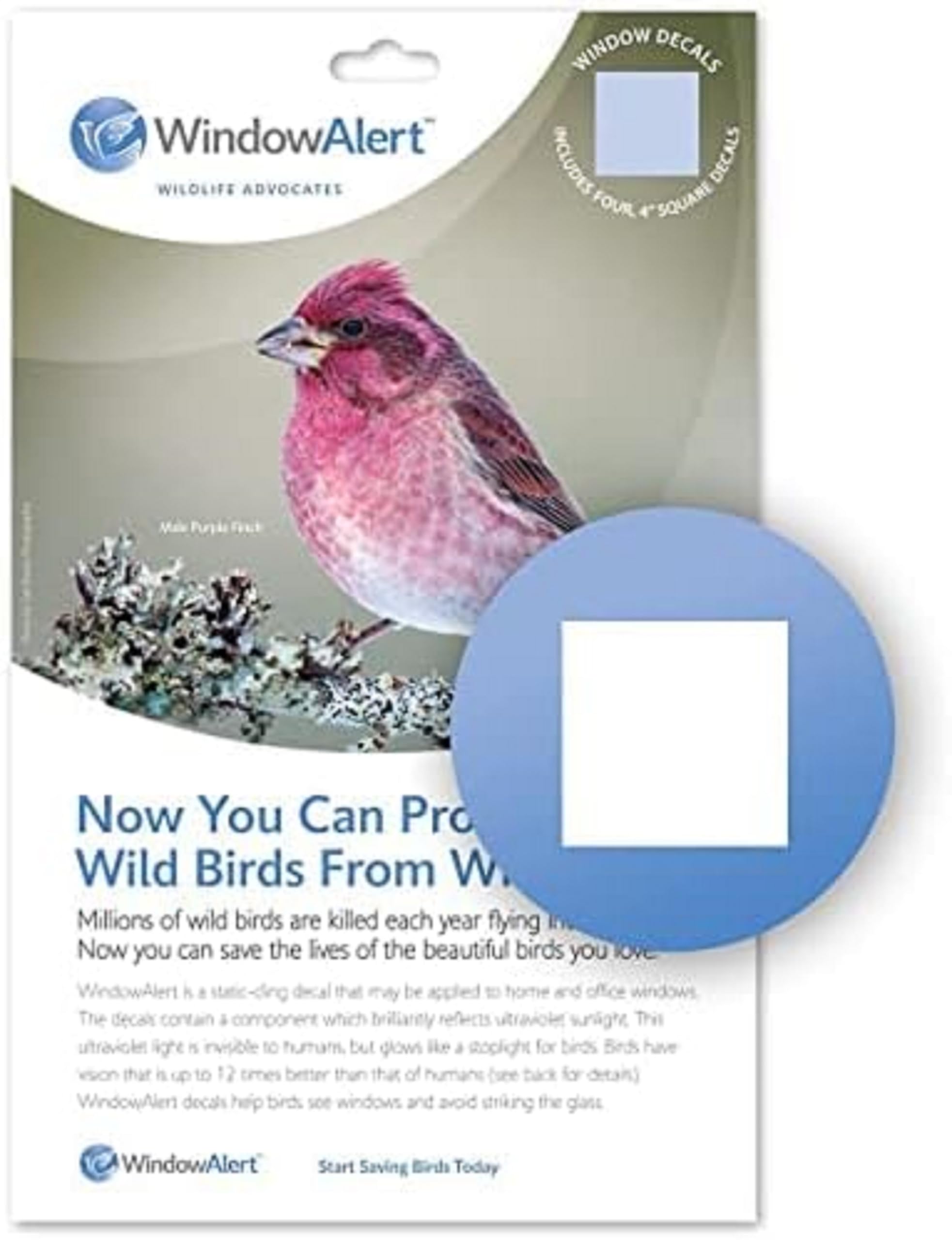 WindowAlert Classic Square Anti-Collision Decal - UV-Reflective Window Decal to Protect Wild Birds from Glass Collisions - Made in the USA