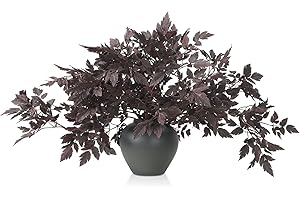 Lyrow 6 Pack Artificial Cimicifuga Plant Leaf Spray Faux Plum Cimicifuga Ramosa Leaf Branch Faux Fall Spray Faux Silk Plants for Home Vase Wedding Garden Farmhouse Table Mantel Decor (36 Inches)