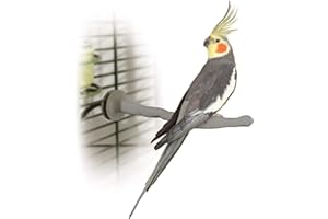 K&H Pet Products Thermo-Perch Heated Bird Perch for Cage, Bird Cage Accessory, Exotic Avian Warming Post for Small/Medium Feathered Friends Like Parakeet, Cockatiel, Canary - Small 1 X 10.5in 12V