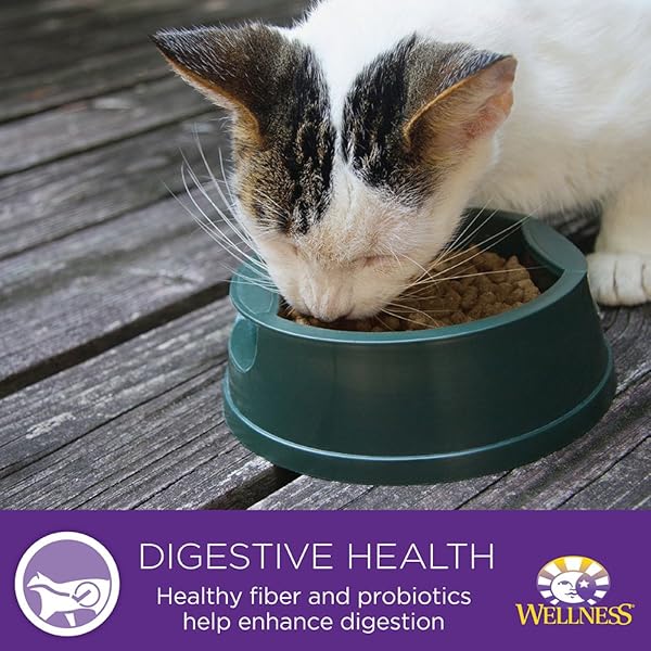 WELLNESS COMPLETE HEALTH GRAIN FREE CHICKEN & HERRING NATURAL WET CANNED CAT FOOD, 3-OUNCE CAN (PACK OF 24)