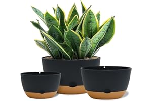 Koalaime 8/10/12 Inch Pots for Indoor Plants, Large Self Watering Planters with Drainage and Saucers, Plastic Outdoor Flower Pot, Set of 3, Grey