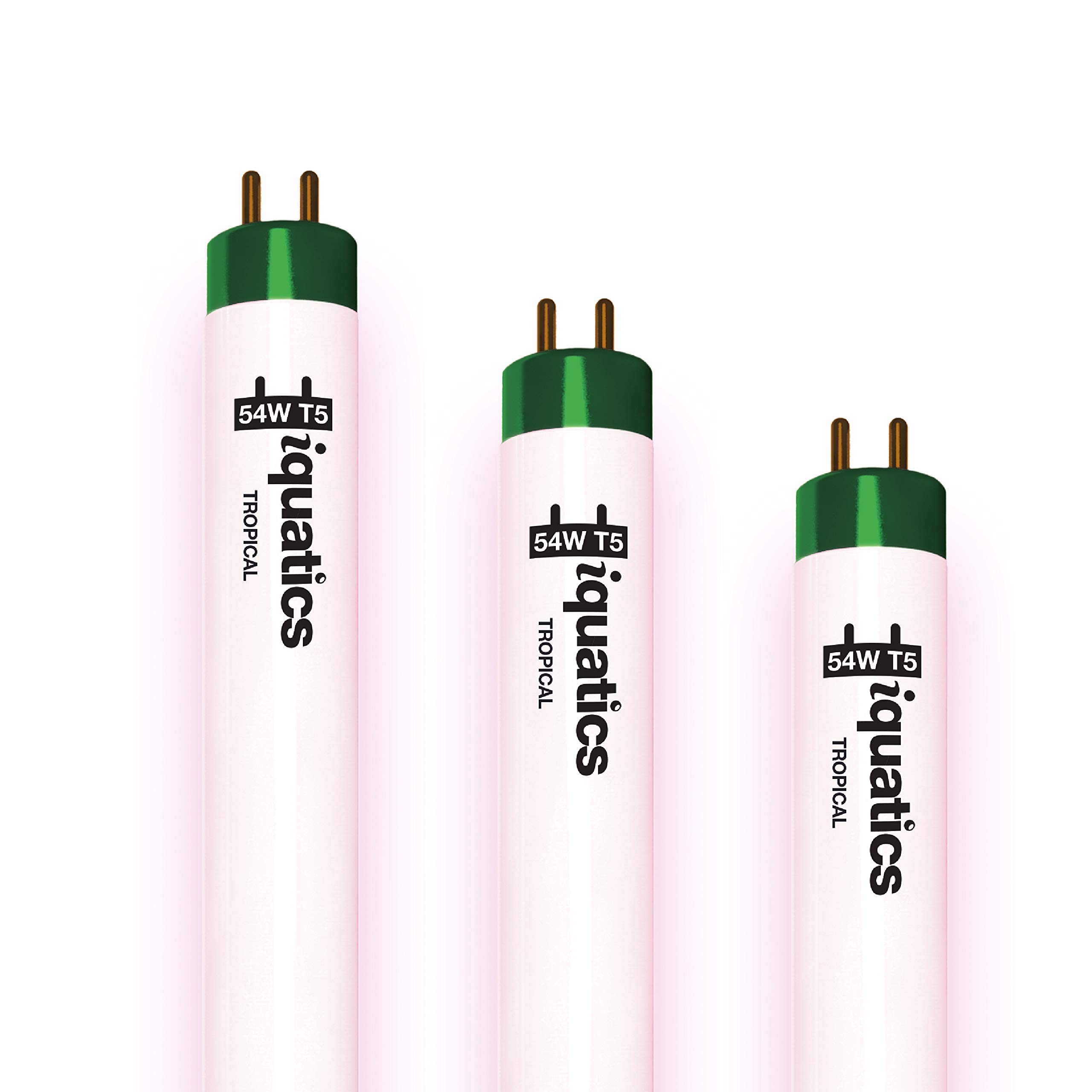 iQuatics Juwel Compatible Aquarium Fluorescent Light Bulb T5 (3 Pack), Tropical, 54w 1200mm 48”