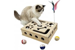 Cat Scratch Puzzle Enrichment Box, Cat Nail File Enrichment Box Sandpaper, Interactive Cats Treat Toy Stress Free, Scratchers
