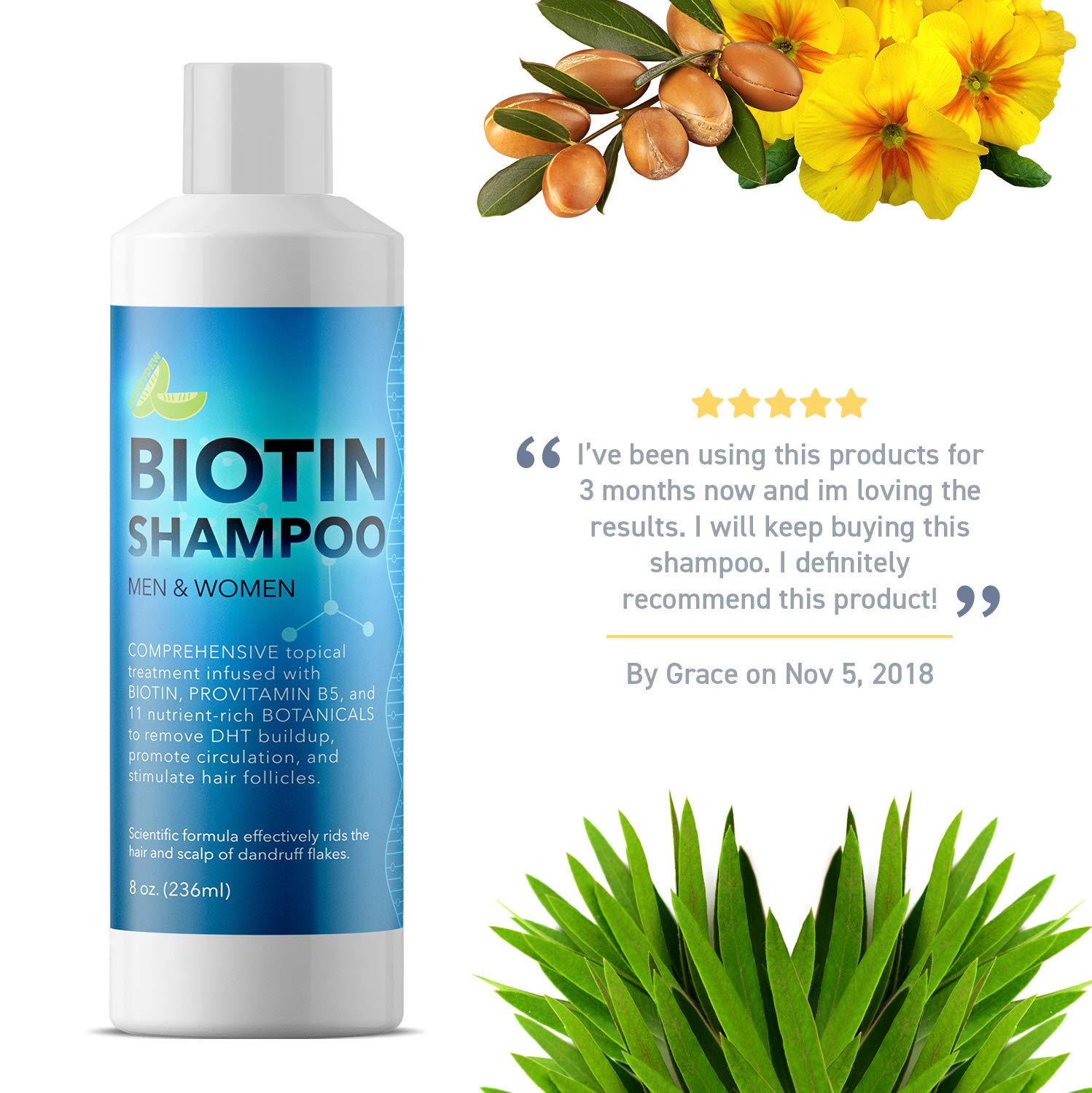 Biotin Shampoo for Hair Growth B-Complex Formula for Hair Loss Removes DHT for Thicker Fuller Hair Anti Dandruff Formula with Zinc Tea Tree Oil Extract Jojoba Oil Argan Oil For Women and Men 8 oz: Beauty
