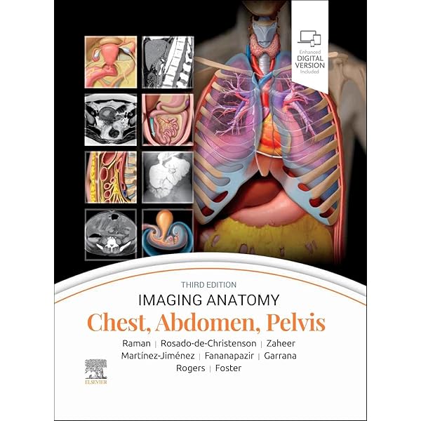 CLINICAL ANATOMY(CD未開封付き) CLINICAL ANATOMY(CD未開封付き) CLINICAL ANATOMY(CD未開封付き)