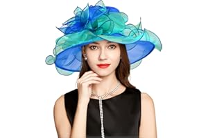 YIDINGCO 2025 Kentucky Derby Hat, Classy Sun Hat for Women Ladies Girls, Organza Feather Fascinator for Tea Party Church UV Protection